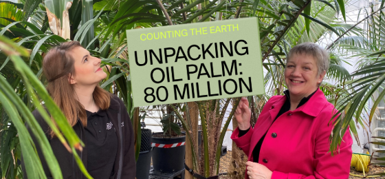 Apr26 newsletter-3-oil palm card