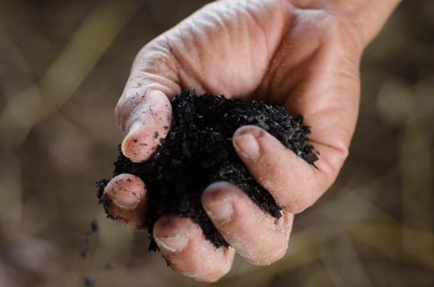 Holding a handful of biochar