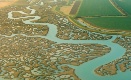 Aerial view of winding river beside farmland