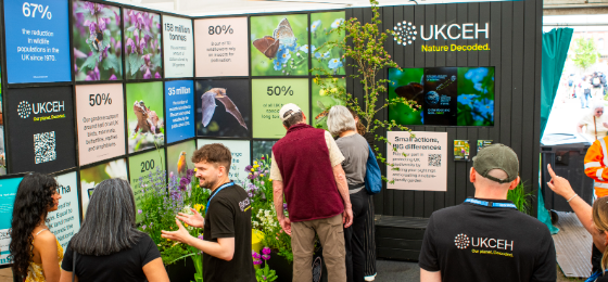 May26 newsletter-2-chelsea exhibit