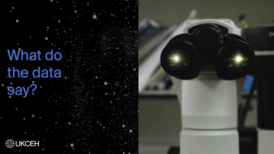 Looking into a microscope