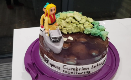 November newsletter-6-cake