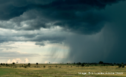 Rain cloud over the Serengeti-EricIsselée-Adobe-3