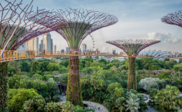 Urban greening news story May25-2