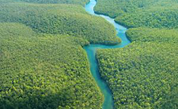 amazon-rainforest-shutterstock-web
