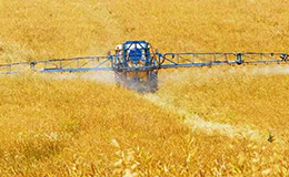 Chemical spraying