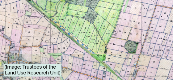 Shaded map from the 1960s survey shows a formerly largely grassland area of Downham Market, Norfolk.