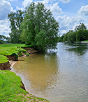 Designated bathing area on the Thames at Wallingford