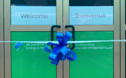 west-africa-office-ribbon-260x160